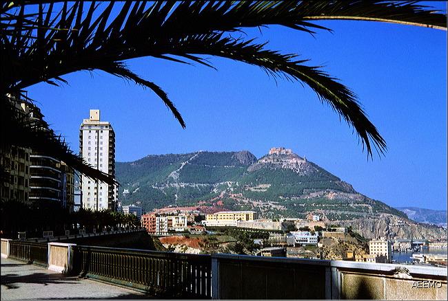 oran_3-23