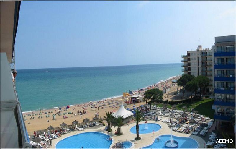 Fusio santa suzana