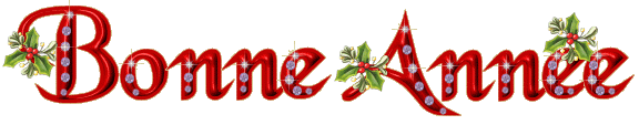 Bonne année !